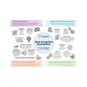 Brain & Cognitive Development Brain & Cognitive Development