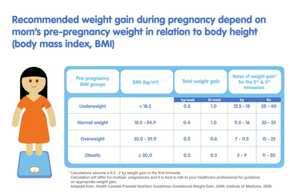 Pregnancy Weight Gain Calculator: How Much Weight to Gain by Week